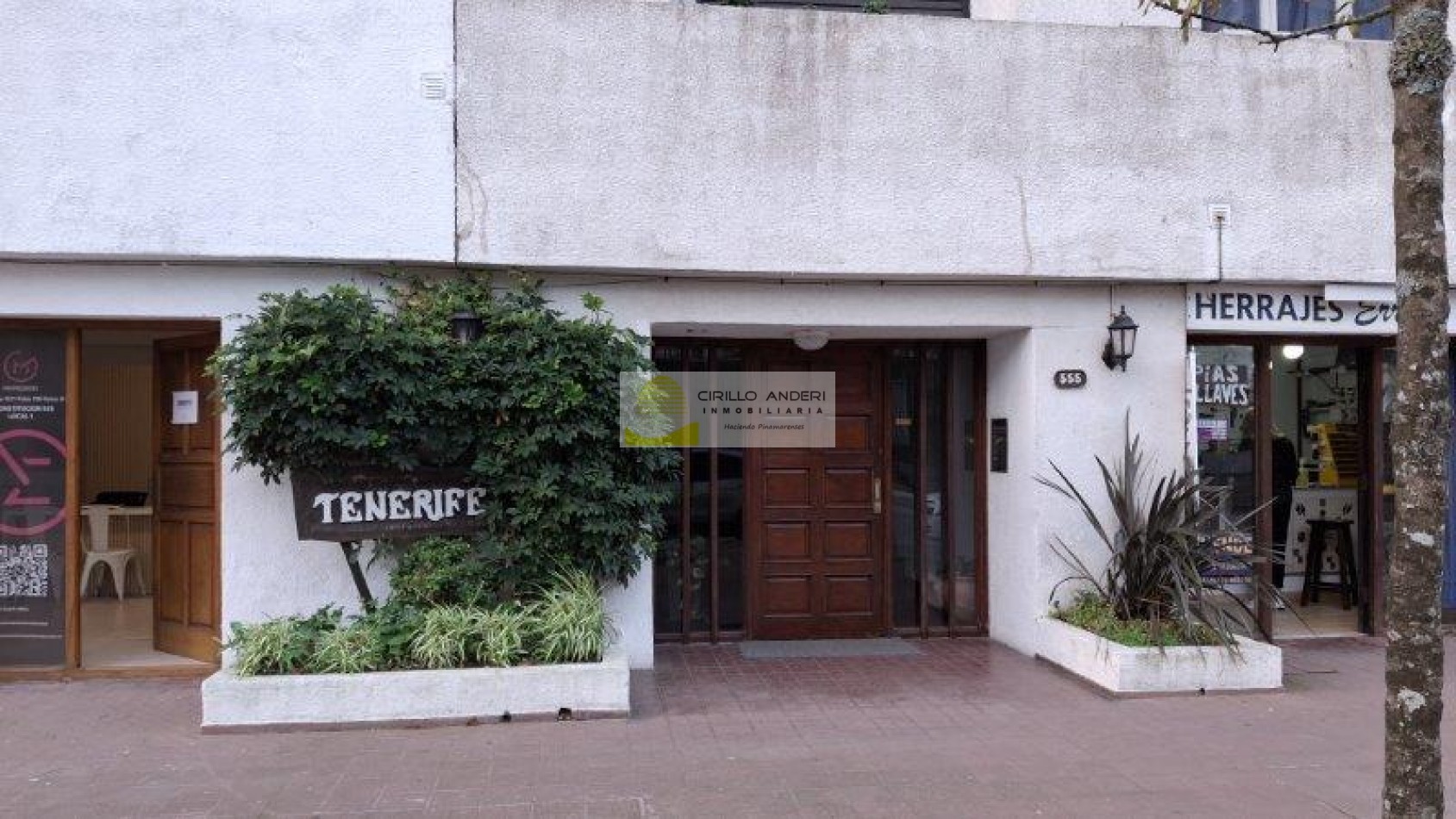  "TENERIFE" CONSTITUCION 555 5 C