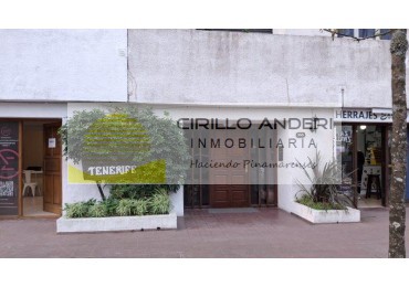  "TENERIFE" CONSTITUCION 555 5 C